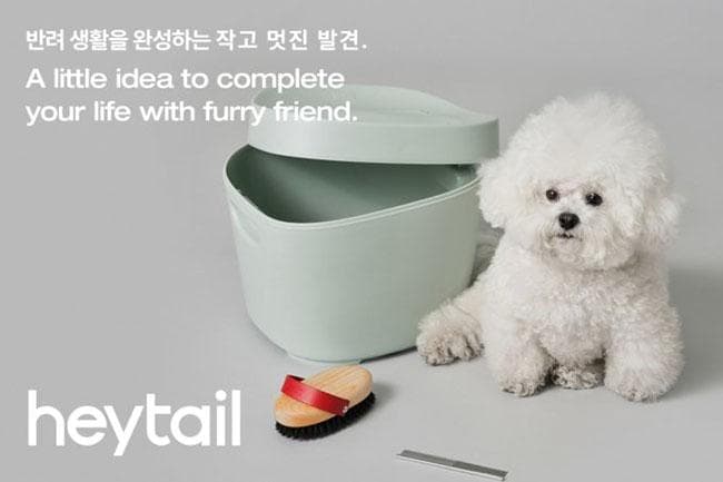 핏펫, 펫테리어 브랜드 ‘헤이테일’ 런칭
